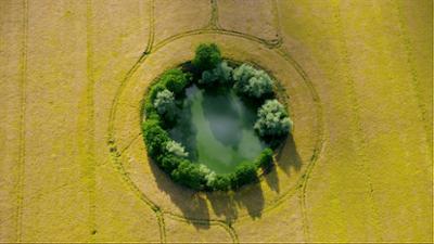 Das Lutherland: Von der Oberlausitz nach Wittenberg