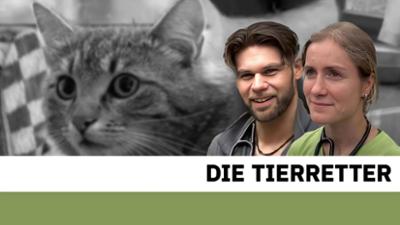 Die Tierretter: Beagle Bruno frisst nicht mehr: Beagle Bruno frisst nicht mehr