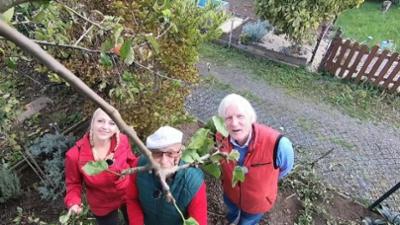 Einfach genial: Erfindungen für den Garten im Herbst