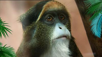 Elefant, Tiger & Co.: Die Entdeckung der Neuen Welt (288)