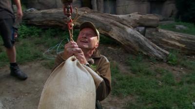 Elefant, Tiger & Co.: Technik, die begeistert (889)