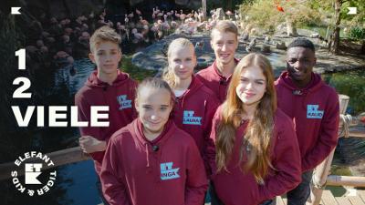 Elefant, Tiger & Co.: Folge 9: Die Einbein-Challenge (S01/E09)