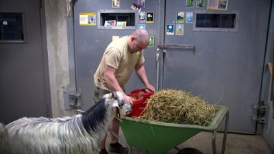 Elefant, Tiger & Co.: Nichts zu meckern (919)