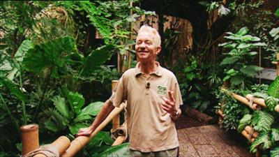 Elefant, Tiger & Co.: Dieters Welt (284)