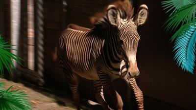 Elefant, Tiger & Co.: Frauen an die Macht! (326)