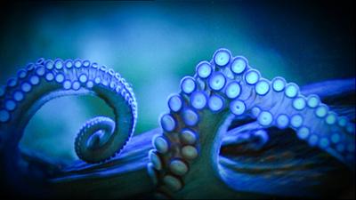 Elefant, Tiger & Co.: Arrivederci, Grappa! (267)