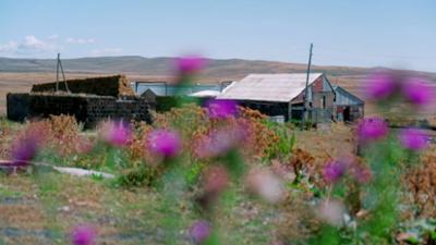 Heute im Osten: Zwischen Stall und Sternenhimmel
