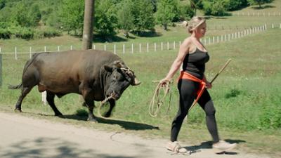 Heute im Osten: Die Schöne und der Stier Heute im Osten: Die Schöne und der Stier
