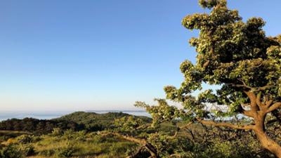 Hiddensee - Fluchtpunkt und Sehnsuchtsort: Hiddensee – Fluchtpunkt und Sehnsuchtsort