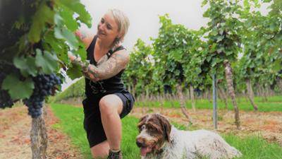 Hofgeschichten - Ackern zwischen Alpen und Ostsee: Folge 8: Platz machen für den neuen Wein (S02/E08)