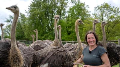 Hofgeschichten - Ackern zwischen Alpen und Ostsee: Folge 15: Markttag für die Fischerin (S01/E15)