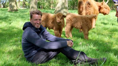 Hofgeschichten - Ackern zwischen Alpen und Ostsee: Folge 2: Highland-Rinder für den Insel-Bauern (S01/E02)
