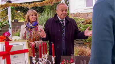 In aller Freundschaft: Folge 630: Der Überraschungsgast (S17/E03)