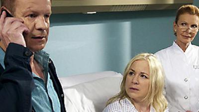 In aller Freundschaft: Folge 523: Schmerzgrenze (S14/E22)