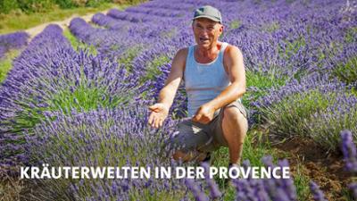Kräuterwelten in der Provence: Kräuterwelten der Provence
