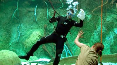 Leipzigs Unterwasserwelt - Das neue Zoo-Aquarium