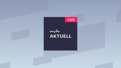 MDR aktuell: Spurensuche: Großkatze am Geiseltalsee