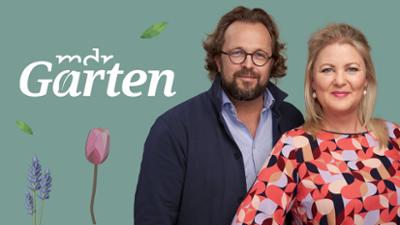 MDR Garten