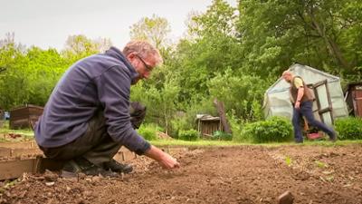 MDR Garten: Heiß auf Gemüse (1)
