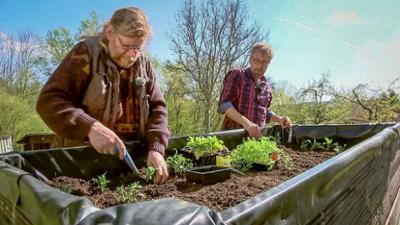 MDR Garten: Heiß auf Gemüse (2)