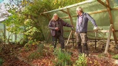 MDR Garten: Heiß auf Gemüse (3)