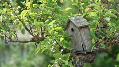 MDR Garten: Kleingartenliebe - meine Parzelle, mein Paradies (2)