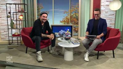 MDR um 4: Gäste zum Kaffee: David Garrett, Stargeiger
