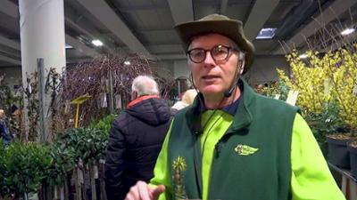 MDR um 4: Gäste zum Kaffee: Pflanzenarzt René Wadas auf Messe Gartenträume in Magdeburg