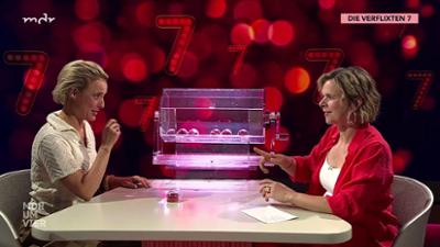 MDR um 4: Gäste zum Kaffee: Moderatorin Seraphina Kalze