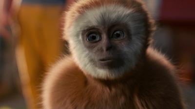 Monky - Kleiner Affe, großer Trost