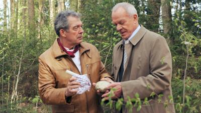 Sturm der Liebe: (1325) Sturm der Liebe: (1325)