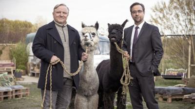 Tatort: Rhythm and Love: Rhythm and Love (2021)