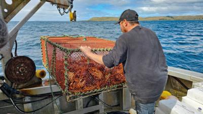 Thomas Junker unterwegs: Folge 1: Chatham Island - Wo der Tag auf der Erde beginnt (S13/E01)