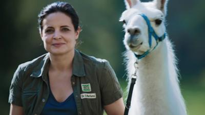 Tierärztin Dr. Mertens: Folge 72: Neue Ufer (S06/E07)