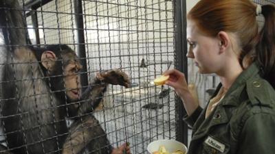 Tierärztin Dr. Mertens: Folge 36: Am seidenen Faden (S03/E10)