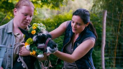 Tierärztin Dr. Mertens: Folge 58: Zuviel von allem (S05/E06)