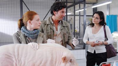Tierärztin Dr. Mertens: Folge 41: Neue Wege (S04/E02) Tierärztin Dr. Mertens: Folge 41: Neue Wege (S04/E02)