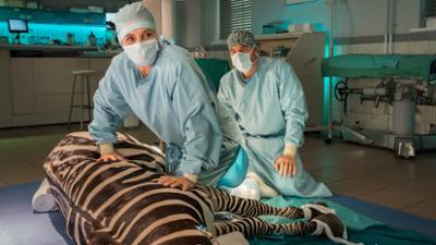 Tierärztin Dr. Mertens: Folge 103: Auf Leben und Tod (S09/E06)