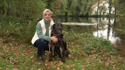 Tierisch tierisch: aus dem Tierheim Belzig