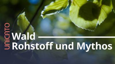 unicato: Wald - Rohstoff und Mythos