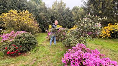 Unser Dorf hat Wochenende: Königshain