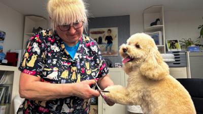 Unser Dorf hat Wochenende: Groß Santersleben