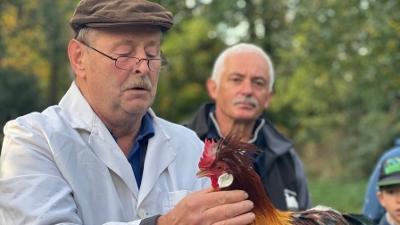 Unser Dorf hat Wochenende: Mühlberg