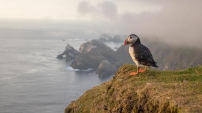 Unsere Meere: Unbekannte Nordsee
