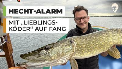 Unterwegs in Sachsen: Fanggarantie mit Lieblingsköder! Angeln mit Profi-Tipps Unterwegs in Sachsen: Fanggarantie mit Lieblingsköder! Angeln mit Profi-Tipps