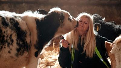 Vom Glück, Kühe zu retten