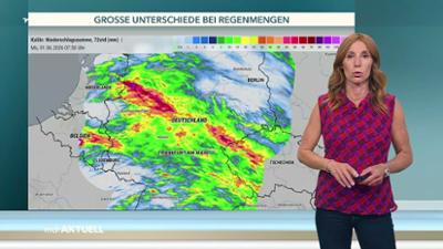 Wetter für 3