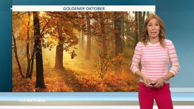 Wetter für 3