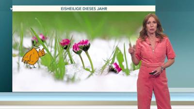Wetter für 3