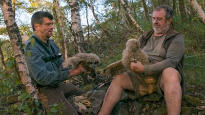 Wild und grenzenlos - Der Oberlausitzer Bergweg: Wild und grenzenlos – Der Oberlausitzer Bergweg